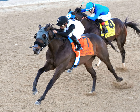 NU WHAT'S NEW - The Oaklawn Mile Stakes G3 - 03-28-26 - R11 - OP - Inside Finish 01 - Coady Media - Kurtis Coady Photography
