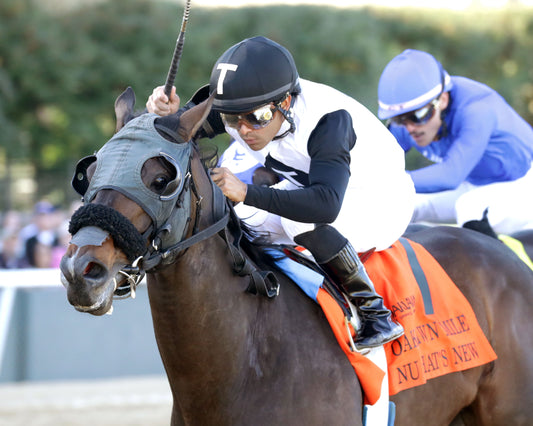 NU WHAT'S NEW - The Oaklawn Mile Stakes G3 - 03-28-26 - R11 - OP - Inside Finish 02 - Coady Media - Kurtis Coady Photography