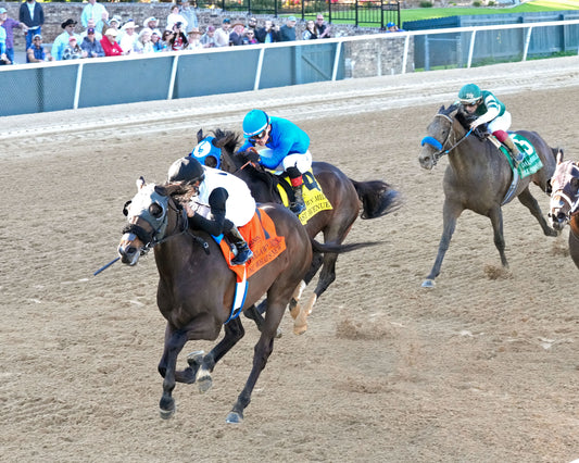 NU WHAT'S NEW - The Oaklawn Mile Stakes G3 - 03-28-26 - R11 - OP - Inside Finish 03 - Coady Media - Kurtis Coady Photography