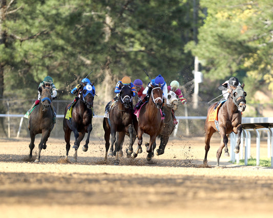 NU WHAT'S NEW - The Oaklawn Mile Stakes G3 - 03-28-26 - R11 - OP - Turn 01 - Coady Media - Kurtis Coady Photography