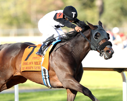 NU WHAT'S NEW - The Oaklawn Mile Stakes G3 - 03-28-26 - R11 - OP - Turn 02 - Coady Media - Kurtis Coady Photography