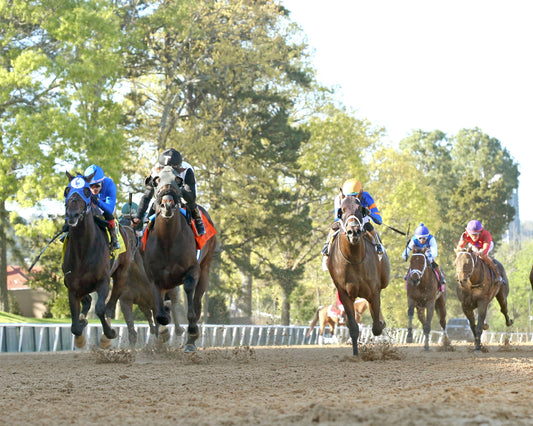 NU WHAT'S NEW - The Oaklawn Mile Stakes G3 - 03-28-26 - R11 - OP - Under Rail 01 - Coady Media - Kurtis Coady Photography