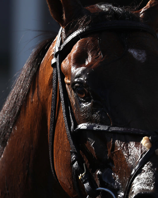 ONE MAGIC PHILLY - The Roxelana Stakes - 04-25-26 - R09 - CD - Come Back 01 - Coady Media - Kurtis Coady Photography