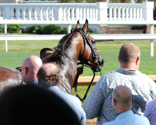 ONE MAGIC PHILLY - The Roxelana Stakes - 04-25-26 - R09 - CD - Come Back 05 - Coady Media - Kurtis Coady Photography