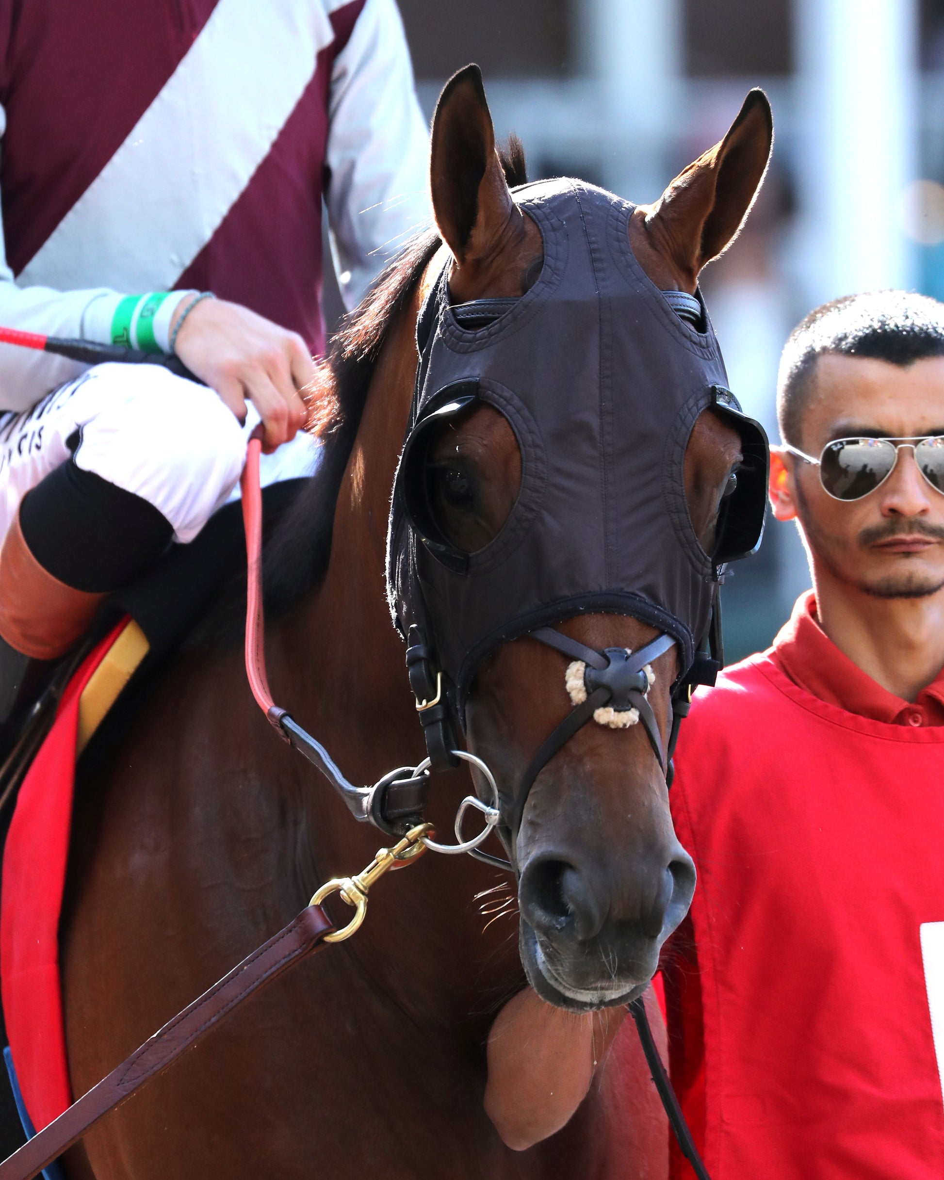 ONE MAGIC PHILLY - The Roxelana Stakes - 04-25-26 - R09 - CD - Paddock 04 - Coady Media - Kurtis Coady Photography