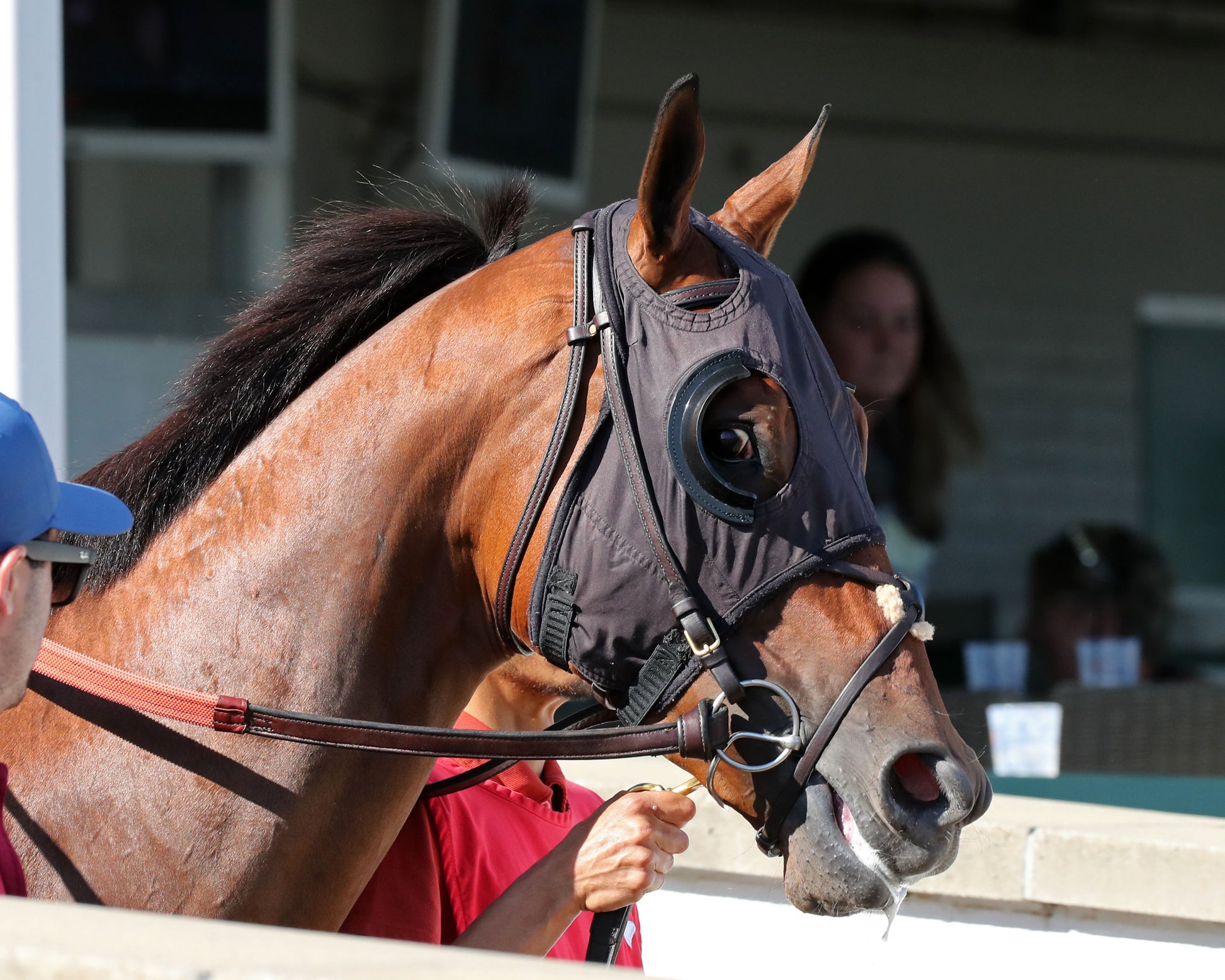 ONE MAGIC PHILLY - The Roxelana Stakes - 04-25-26 - R09 - CD - Post Parade 01 - Coady Media - Kurtis Coady Photography