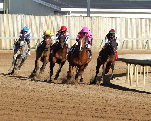 ONE MAGIC PHILLY - The Roxelana Stakes - 04-25-26 - R09 - CD - Turn 01 - Coady Media - Kurtis Coady Photography