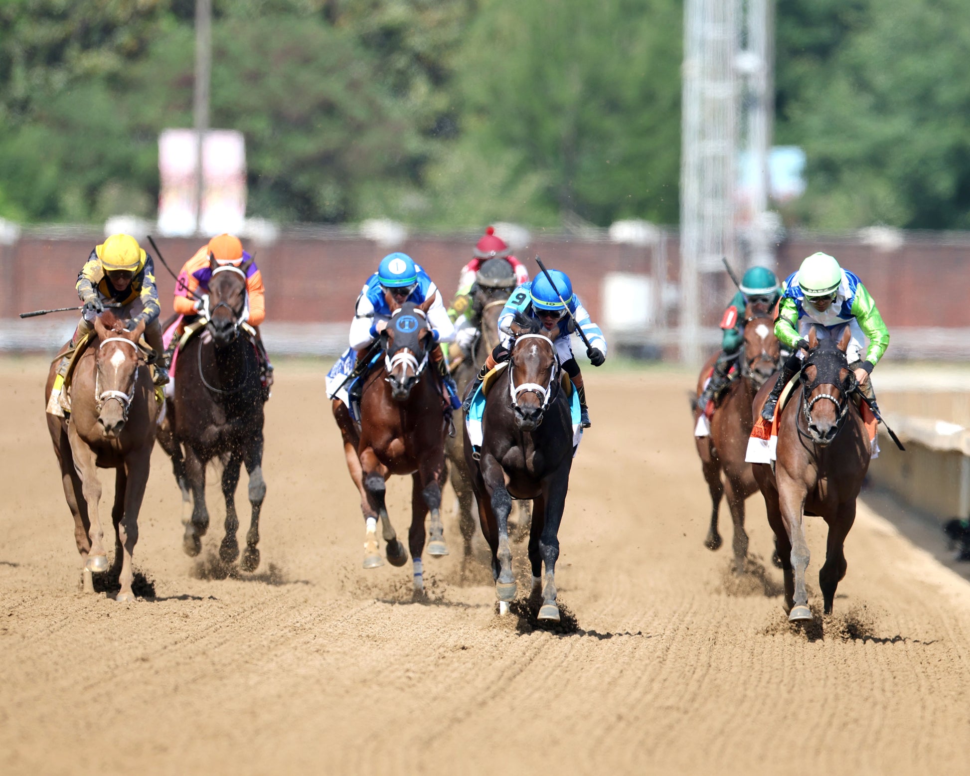 ON TIME GIRL - 050126 - Race 08 - CD - Head On 01 - Coady Media - Kurtis Coady Photography