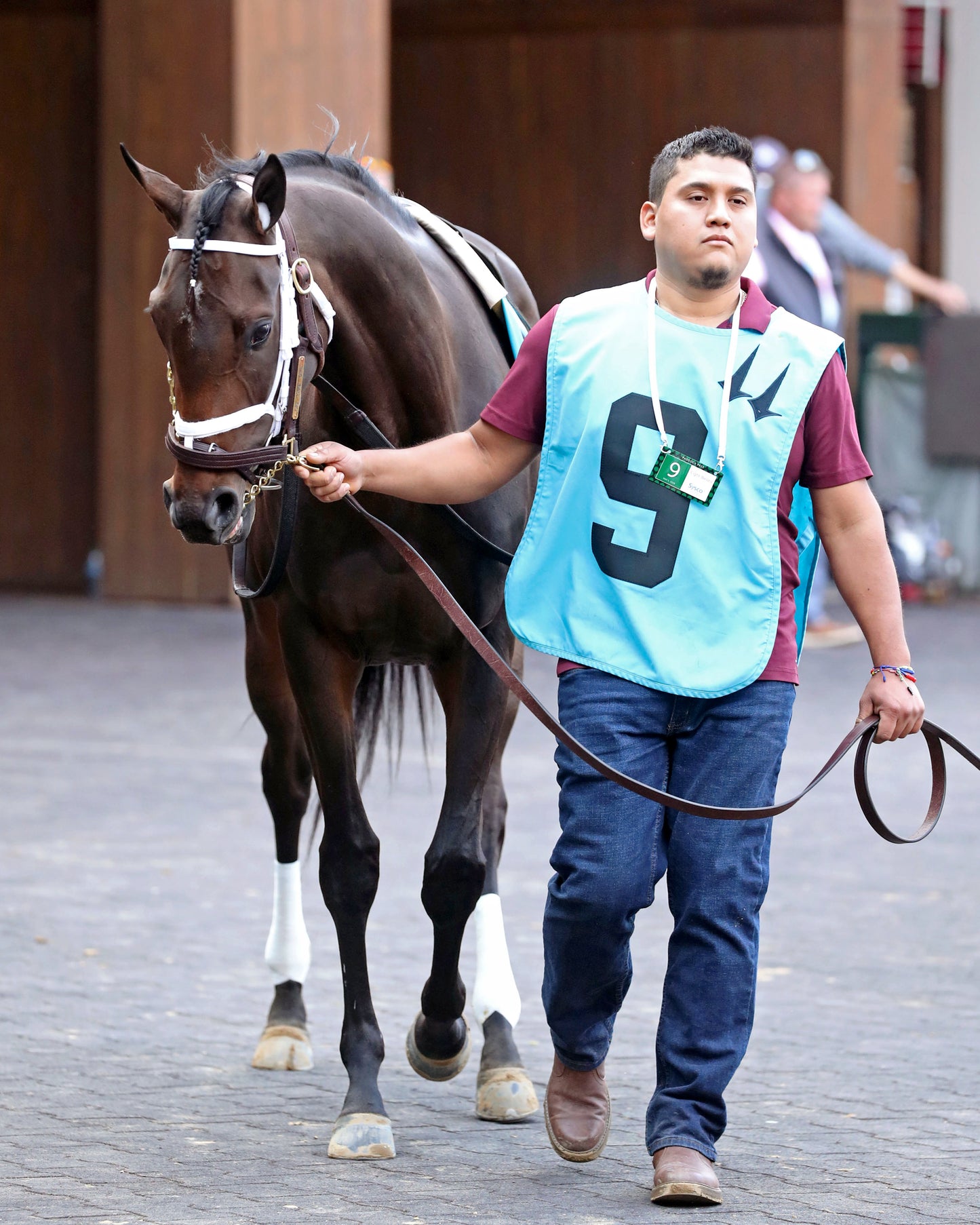 ON TIME GIRL - 050126 - Race 08 - CD - Paddock 01 - Coady Media - Kurtis Coady Photography