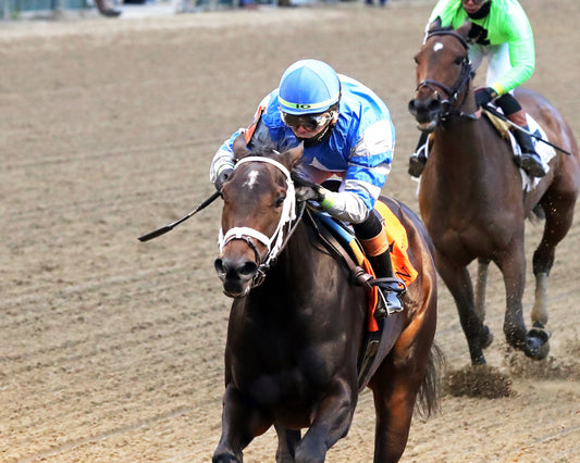 ON TIME GIRL - The Fern Creek - 11-29-25 - R08 - CD - Inside Finish 02