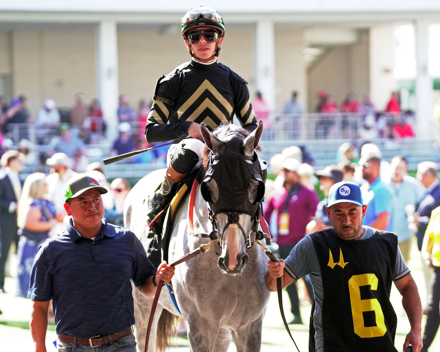 ORIGINAL SIN - 053026 - Race 10 - CD  The Blame G3 - Paddock 01