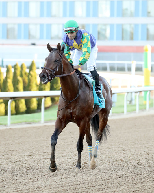 OSCAR'S HOPE - The Ozark Stakes - 02-16-26 - R09 - OP - Come Back 01 - Coady Media - Kurtis Coady Photography