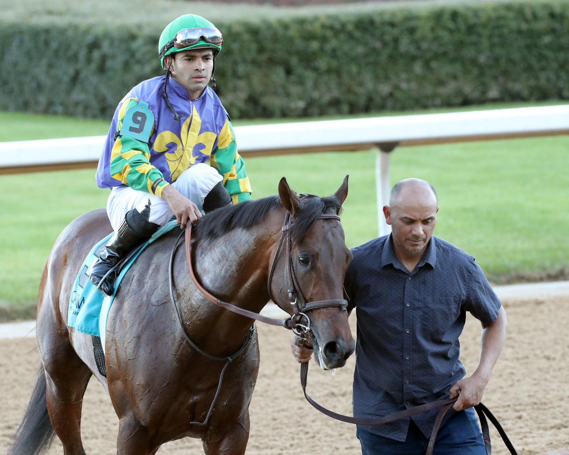 OSCAR'S HOPE - The Ozark Stakes - 02-16-26 - R09 - OP - Come Back 02 - Coady Media - Kurtis Coady Photography