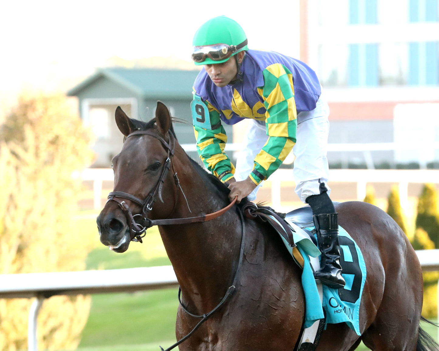 OSCAR'S HOPE - The Ozark Stakes - 02-16-26 - R09 - OP - Come Back 04 - Coady Media - Kurtis Coady Photography