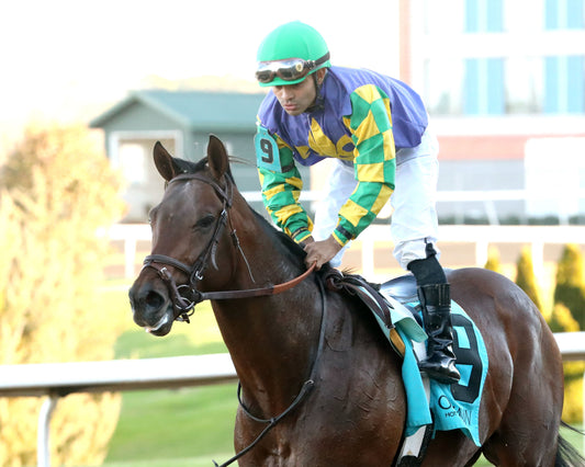 OSCAR'S HOPE - The Ozark Stakes - 02-16-26 - R09 - OP - Come Back 04 - Coady Media - Kurtis Coady Photography