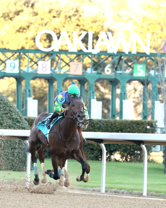 OSCAR'S HOPE - The Ozark Stakes - 02-16-26 - R09 - OP - Finish 02 - Coady Media - Kurtis Coady Photography