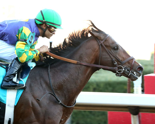 OSCAR'S HOPE - The Ozark Stakes - 02-16-26 - R09 - OP - Finish 03 - Coady Media - Kurtis Coady Photography