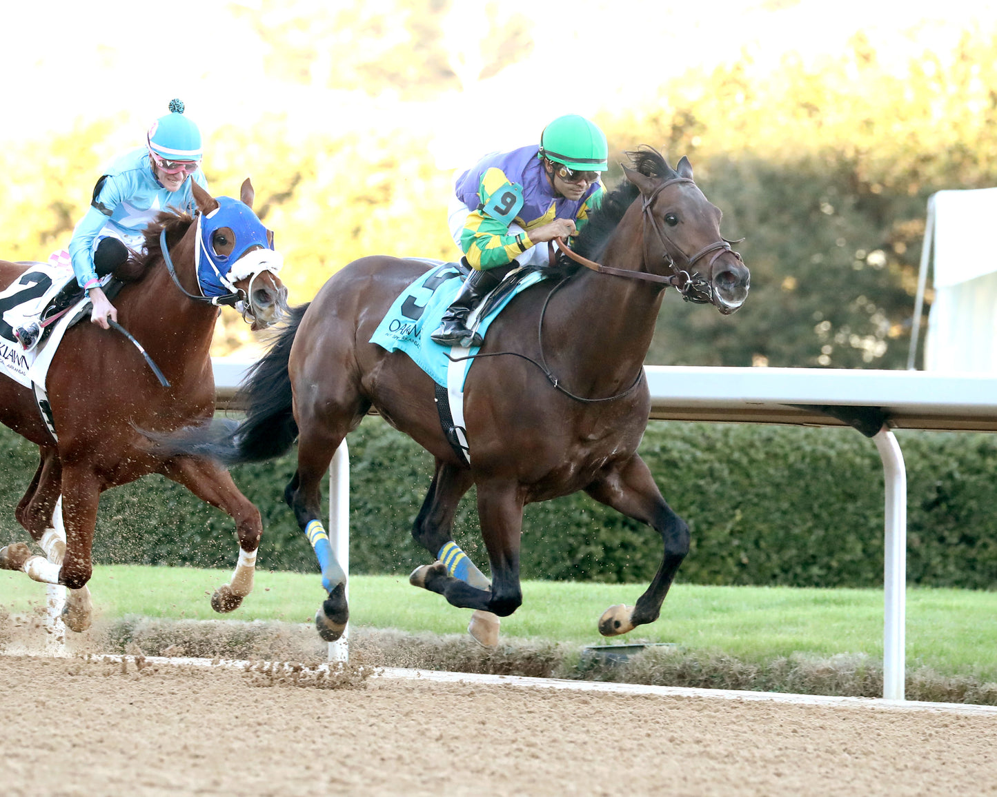 OSCAR'S HOPE - The Ozark Stakes - 02-16-26 - R09 - OP - Finish 04 - Coady Media - Kurtis Coady Photography