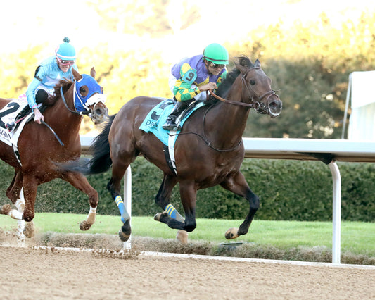 OSCAR'S HOPE - The Ozark Stakes - 02-16-26 - R09 - OP - Finish 04 - Coady Media - Kurtis Coady Photography