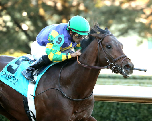 OSCAR'S HOPE - The Ozark Stakes - 02-16-26 - R09 - OP - Finish 05 - Coady Media - Kurtis Coady Photography