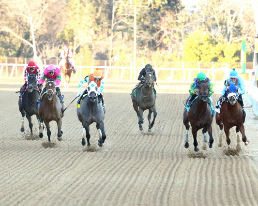 OSCAR'S HOPE - The Ozark Stakes - 02-16-26 - R09 - OP - Head On 01 - Coady Media - Kurtis Coady Photography