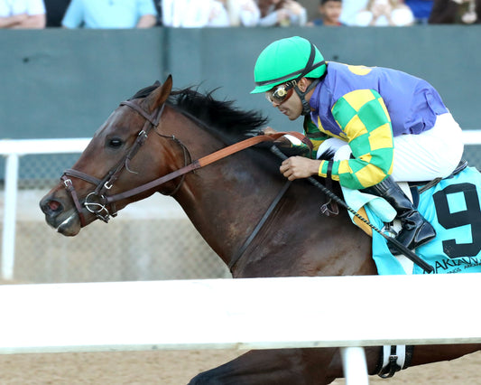OSCAR'S HOPE - The Ozark Stakes - 02-16-26 - R09 - OP - Inside Finish 01 - Coady Media - Kurtis Coady Photography