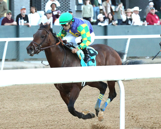 OSCAR'S HOPE - The Ozark Stakes - 02-16-26 - R09 - OP - Inside Finish 02 - Coady Media - Kurtis Coady Photography
