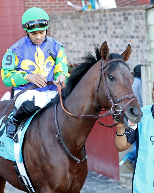 OSCAR'S HOPE - The Ozark Stakes - 02-16-26 - R09 - OP - Post Parade 01 - Coady Media - Kurtis Coady Photography