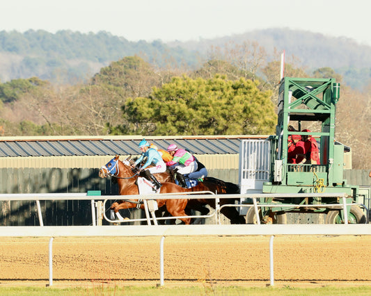 OSCAR'S HOPE - The Ozark Stakes - 02-16-26 - R09 - OP - Start 01 - Coady Media - Kurtis Coady Photography