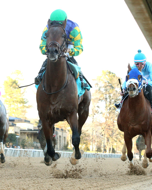 OSCAR'S HOPE - The Ozark Stakes - 02-16-26 - R09 - OP - Under Rail 01 - Coady Media - Kurtis Coady Photography