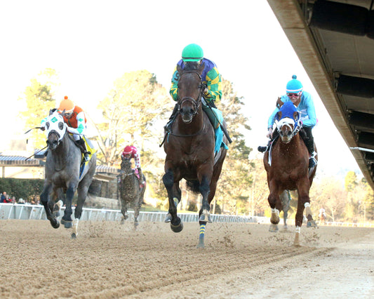 OSCAR'S HOPE - The Ozark Stakes - 02-16-26 - R09 - OP - Under Rail 02 - Coady Media - Kurtis Coady Photography