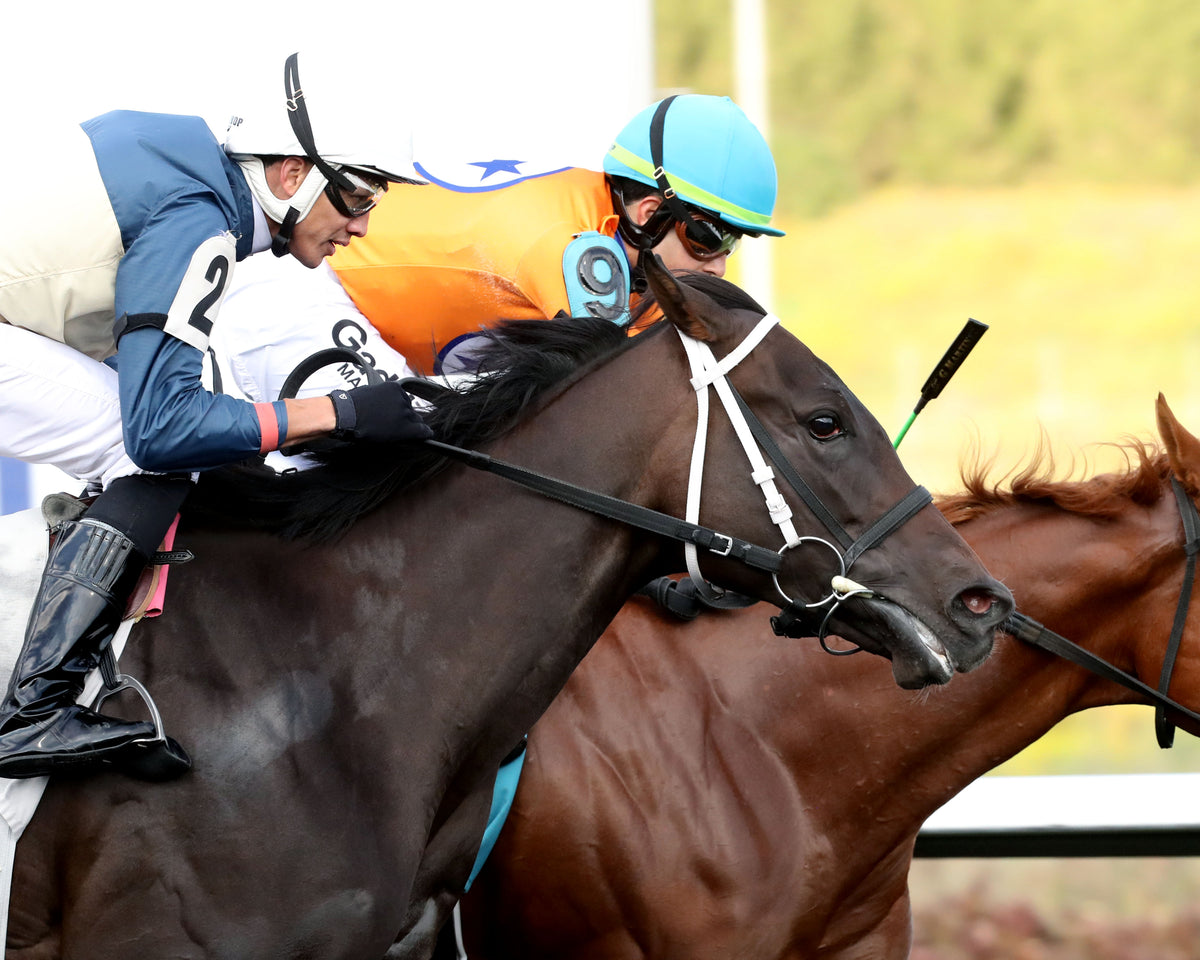 OUR SWEET BELLE - The Presque Isle Debutante Stakes - 15th Running - 09-18-26 - R03 - PID - Finish 02