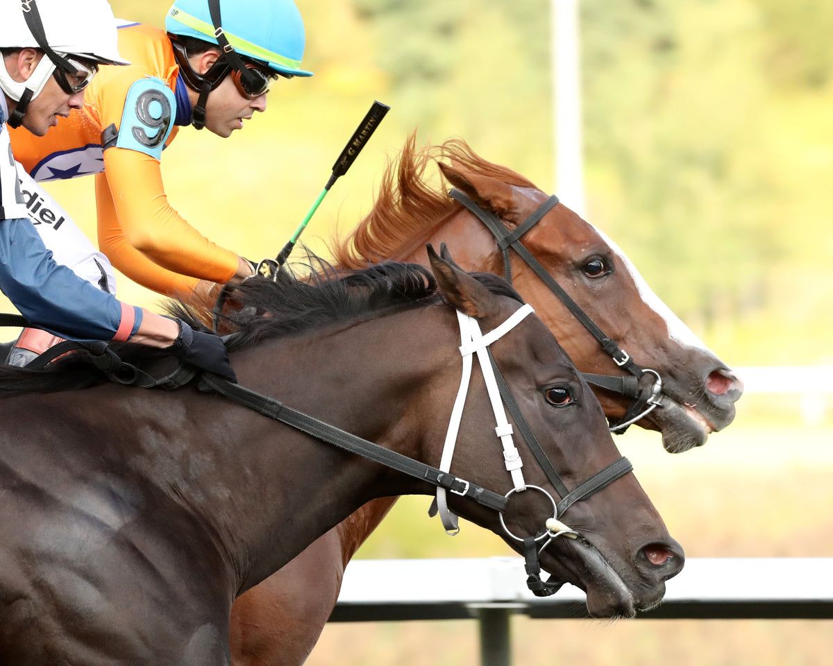 OUR SWEET BELLE - The Presque Isle Debutante Stakes - 15th Running - 09-18-26 - R03 - PID - Finish 03
