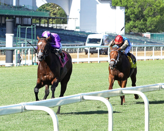 OUTFIELDER - The William Walker - 05-09-26 - R10 - CD - Inside Finish 01 - Coady Media - Kurtis Coady Photography