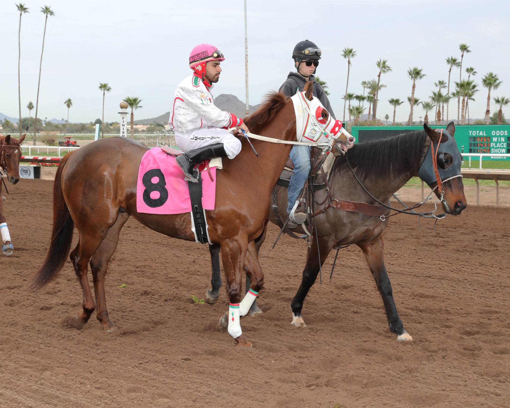 PARADISE PETE - AQRA-Turf Paradise Open Quarter Horse Derby - 12-31-25 - R02 - Turf Paradise - Post Parade - Coady Media - Kurtis Coady Photography