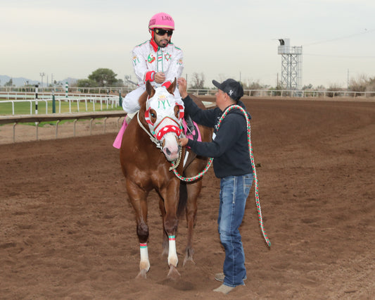 PARADISE PETE - AQRA-Turf Paradise Open Quarter Horse Derby - 12-31-25 - R02 - Turf Paradise - Return Shot - Coady Media - Kurtis Coady Photography