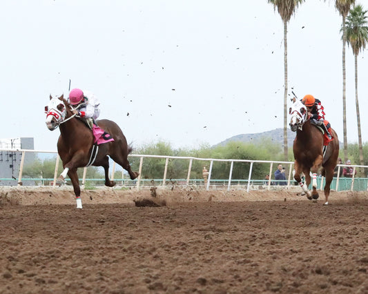 PARADISE PETE - AQRA-Turf Paradise Open Quarter Horse Derby - 12-31-25 - R02 - Turf Paradise - Under Rail - Coady Media - Kurtis Coady Photography