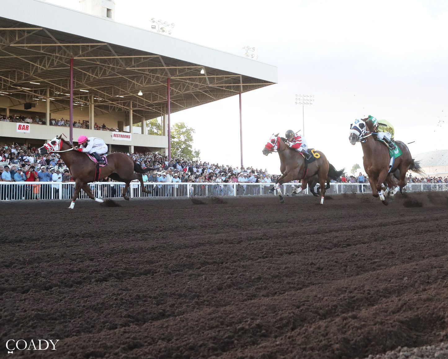 PARADISE PETE - All American Gold Cup Stakes G1 - 09-07-26 - R09 - RUI