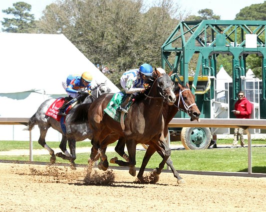 PARCHMENT PARTY - The Temperence Hill Stakes - 03-28-26 - R04 - OP - Finish 02 - Coady Media - Kurtis Coady Photography