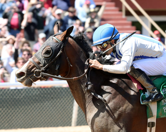 PARCHMENT PARTY - The Temperence Hill Stakes - 03-28-26 - R04 - OP - Inside Finish 02 - Coady Media - Kurtis Coady Photography