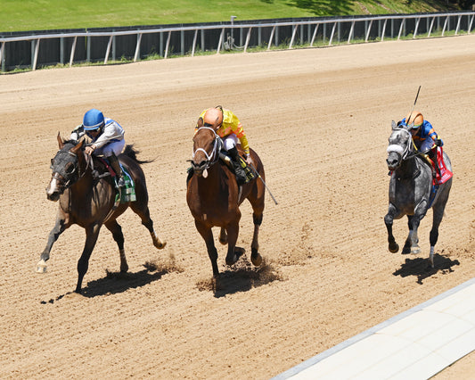 PARCHMENT PARTY - The Temperence Hill Stakes - 03-28-26 - R04 - OP - Inside Finish 03 - Coady Media - Kurtis Coady Photography