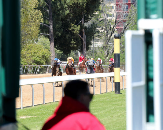 PARCHMENT PARTY - The Temperence Hill Stakes - 03-28-26 - R04 - OP - Inside Finish 04 - Coady Media - Kurtis Coady Photography