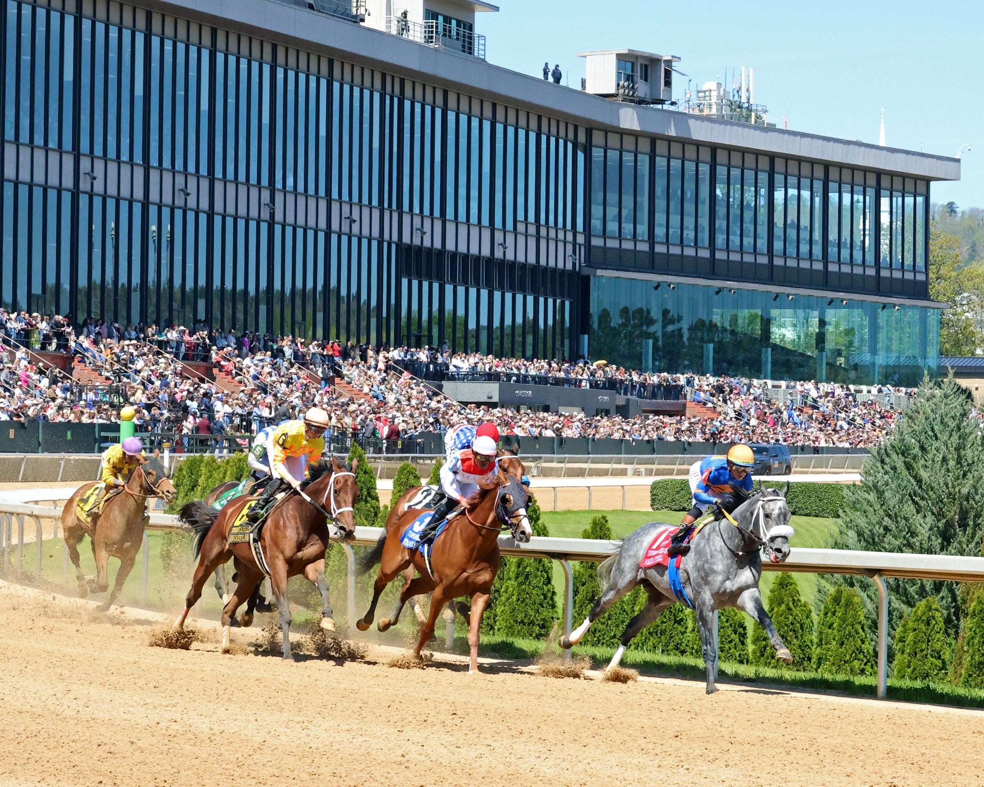 PARCHMENT PARTY - The Temperence Hill Stakes - 03-28-26 - R04 - OP - Sweeping Turn 01 - Coady Media - Kurtis Coady Photography