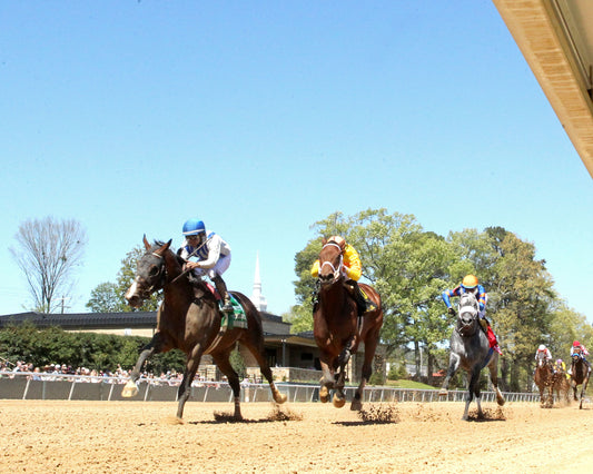 PARCHMENT PARTY - The Temperence Hill Stakes - 03-28-26 - R04 - OP - Under Rail 01 - Coady Media - Kurtis Coady Photography