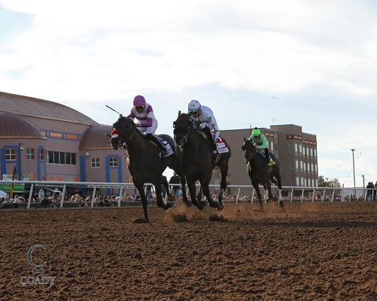 PAVLOVIAN - Sunland Park Derby - 21st Running - 02-15-26 - R09 - Sunland Park - Under Rail - Coady Media - Kurtis Coady Photography