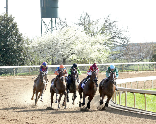 PERCY'S BAR - The Central Bank Ashland G1 - 04-03-26 - R09 - KEE - Turn 01 - Coady Media - Kurtis Coady Photography