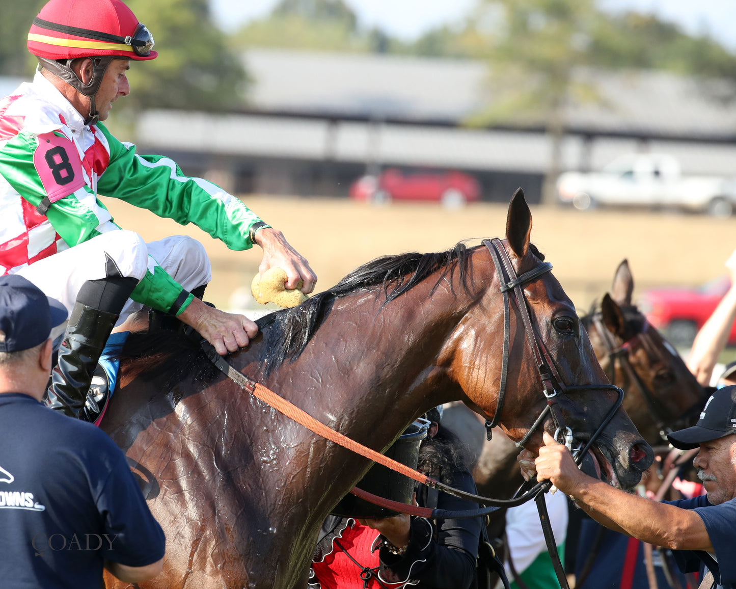 PHAROAH'S WINE - The Mint One Dreamer - 09-04-25 - R09 - KD - Come Back 01 - Coady Media - Kurtis Coady Photography