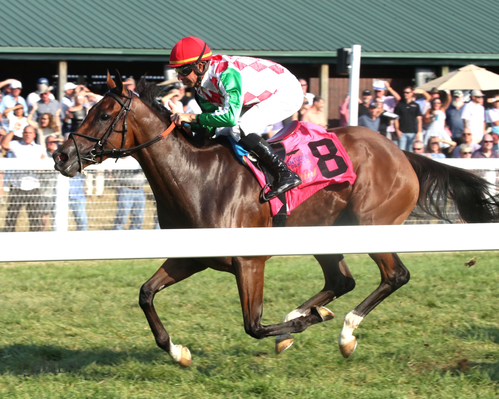 PHAROAH'S WINE - The Mint One Dreamer - 09-04-25 - R09 - KD - Inside Finish 01 - Coady Media - Kurtis Coady Photography