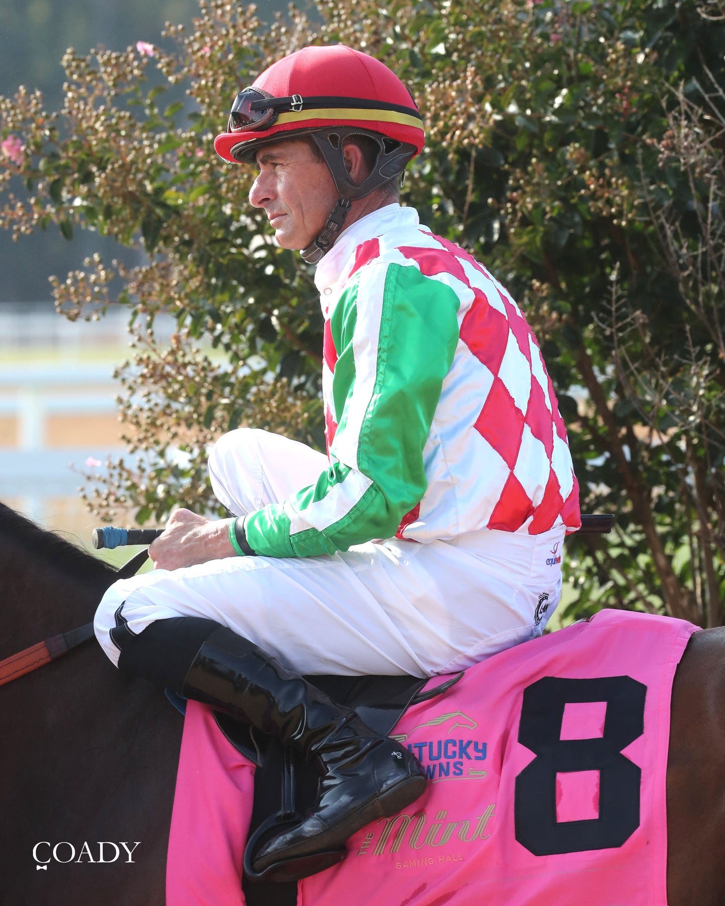 PHAROAH'S WINE - The Mint One Dreamer - 09-04-25 - R09 - KD - Paddock 01