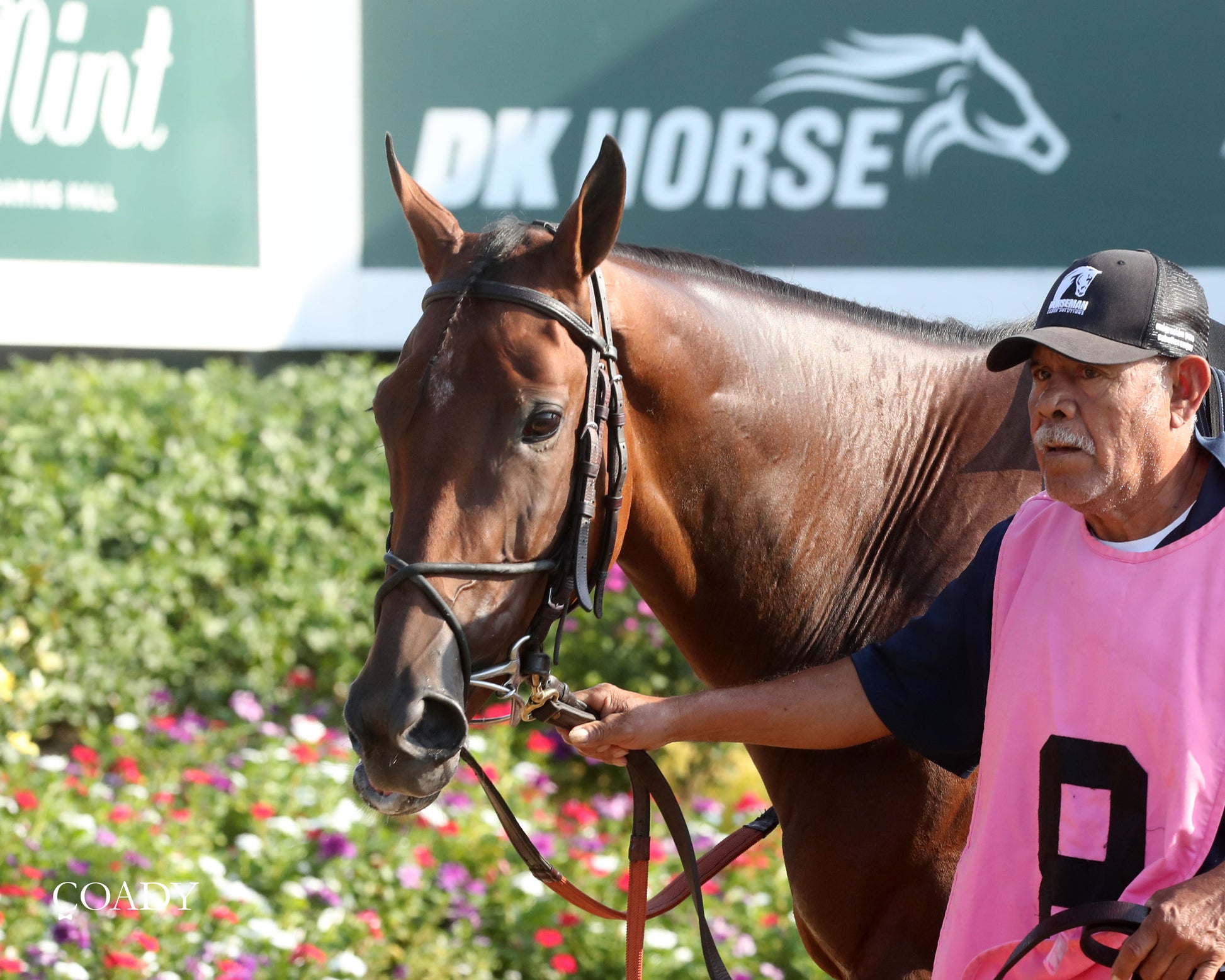 PHAROAH'S WINE - The Mint One Dreamer - 09-04-25 - R09 - KD - Paddock 03 - Coady Media - Kurtis Coady Photography
